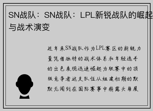 SN战队：SN战队：LPL新锐战队的崛起与战术演变